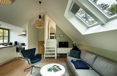 Krachtighuizen Villa | Sprielderbosch 45 Luxury holiday home on a holiday park in the Veluwe