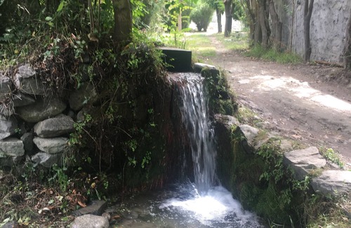 Gilgit House | Springfield