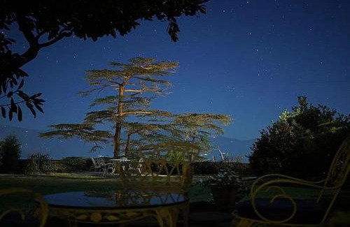 Knollswood Hotel | Springfields - A Heritage Palace Since 1902