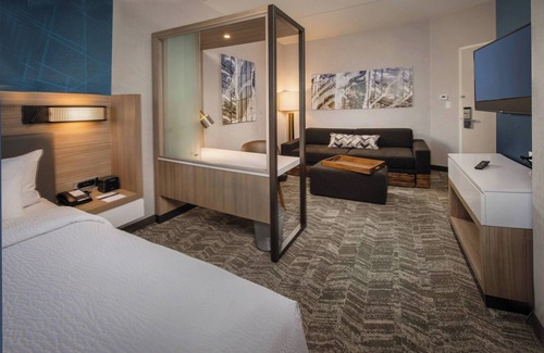 Lakeview Hotel | SpringHill Suites by Marriott Gainesville Haymarket