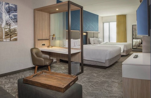Lakeview Hotel | SpringHill Suites by Marriott Gainesville Haymarket