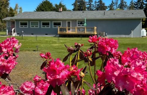 Sequim House | Sq Seashells Nest