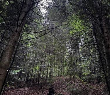 Myslivka House | St Hubertus eco complex