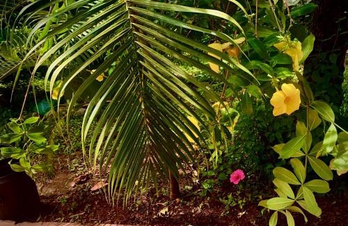 Vagator House | Stan-Inn, North Goa, Vagator, with strong WIFI,free private parking & kitchen, Can Cook where you stay