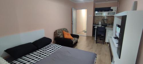 Bor Apartment | Stan na dan Bor