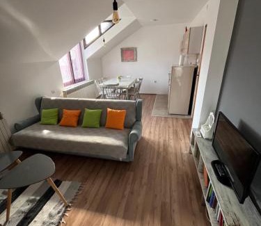 Central Serbia Apartment | Stan na dan Loznica