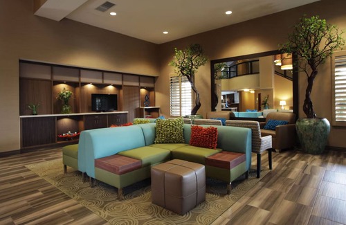 Ocotillo Hotel | Standard 2 Queens at Holiday Inn Chandler - Outdoor Pool & Pets Are Welcome