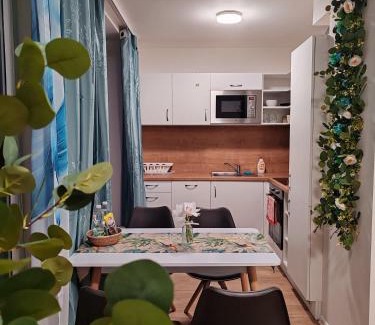 Brno-stred Apartment | Star #5D515