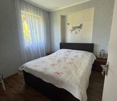 Bakhmaro Apartment | Starry Sky Abastumani