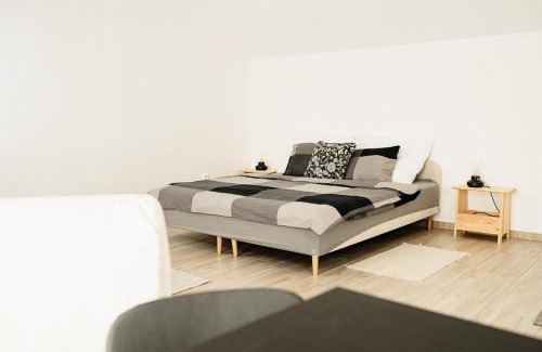 Libice nad Cidlinou Hotel | Statek