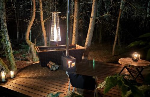 Stara Kiszewa Villa | "STAVA" domy wypoczynkowe