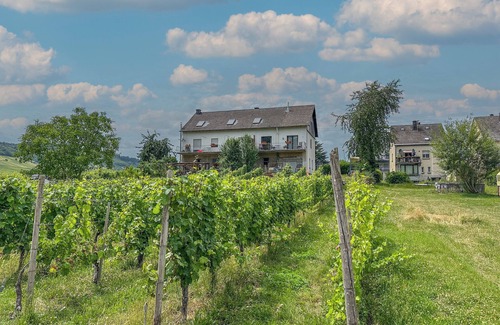 Trittenheim Apartment | Stay at the wine-farmer, directly at the Moselle