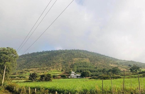 Chikkamagaluru Resort | STAYMAKER Harshadhare Homestay