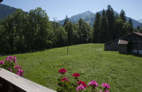 Gstaad Apartment | Steimandli by Interhome