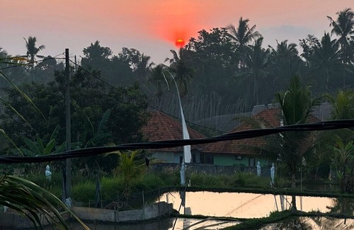 Pejeng Kawan Villa | Step into a world of tranquility at our two-bedroom villa with private pool