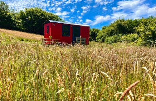 Drimoleague Other | Stepping Stones Glamping little red
