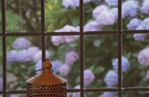 Galatas House | Stone House Among the Trees with Private Garden, Terrace & Wi-Fi