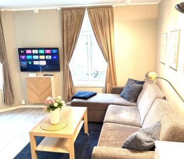 Trondheim City Centre Apartment | Stor attraktiv studioleilighet i sentrum
