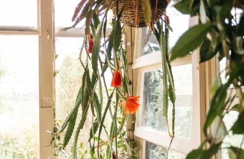 Strath Creek House | Strawbale Cottage - Wingspread Garden