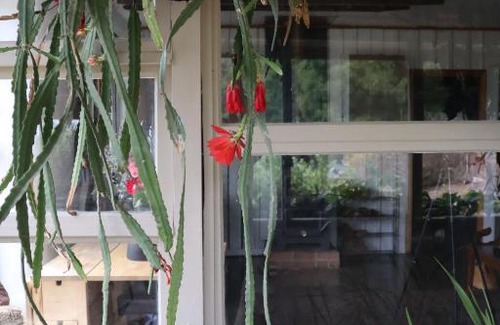 Strath Creek House | Strawbale Cottage - Wingspread Garden