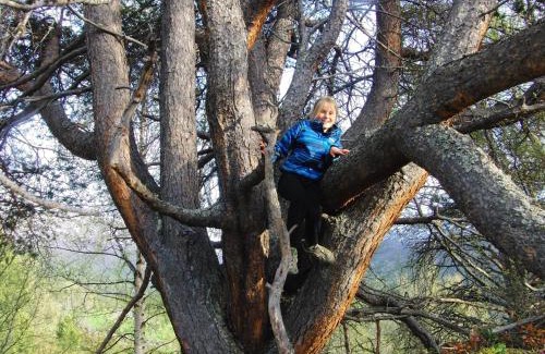 Lom Cabin | Strind Gard, Visdalssetra