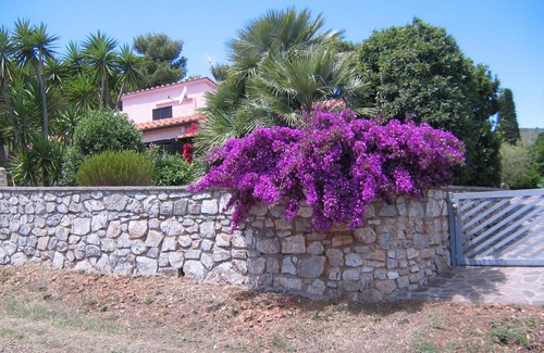 Porto Azzurro Apartment | Studio/Apartment An in Country House/Porto Azzurro