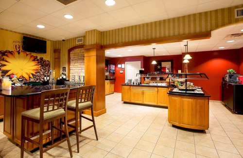 Shearer Hills - Ridgeview Apartment | Studio 15 Minutes from the Alamo! | Free Breakfast + Outdoor Pool and Hot Tub