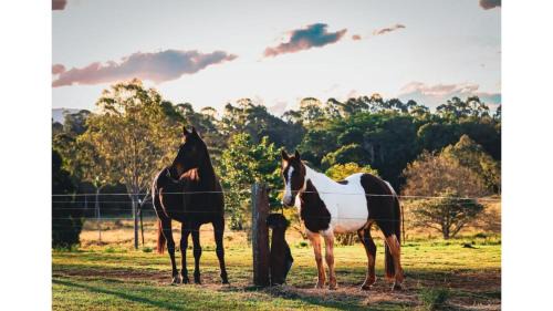 Myocum House | Studio 38