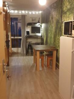 Les Deux Alpes Apartment | Studio Alpheratz Forest - 1 à 3 pers - WIFI, balcon, vue piste et glacier Muzelle, calme, proche commerces et pistes- TSC Super Venosc à 80m