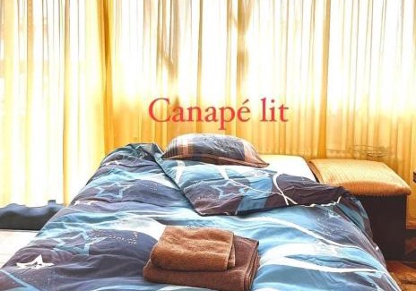 Monthey Apartment | Studio Anémones, meublé, équipé, Monthey