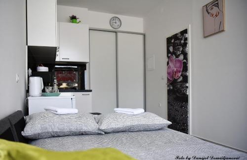 Durdevac Apartment | Studio apartman CENTAR
