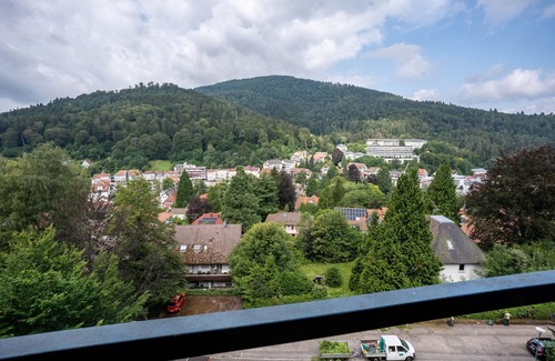 Bad Herrenalb Apartment | Studio Apartment 'Ferienwohnung Nr 95' with Shared Garden and Wi-Fi