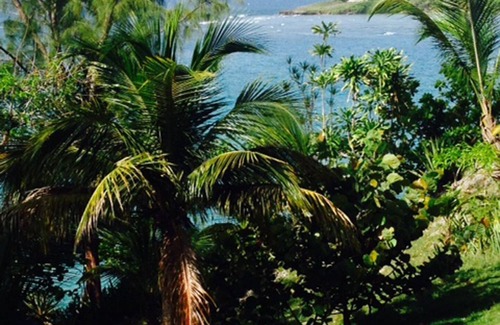 Perinet Apartment | studio at mamy in Gosier