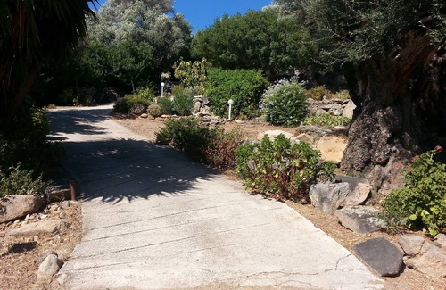 Lumio Apartment | Studio au Calme vue sur la Baie de Calvi, Dans une Ancienne Oliveraie