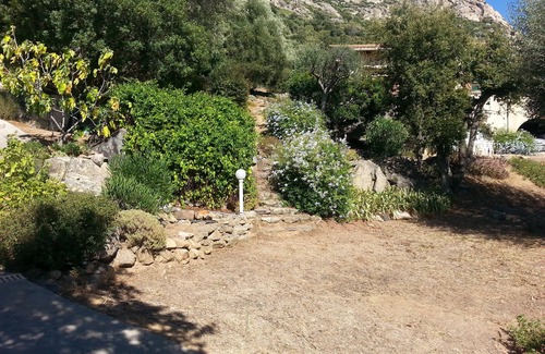 Lumio Apartment | Studio au Calme vue sur la Baie de Calvi, Dans une Ancienne Oliveraie
