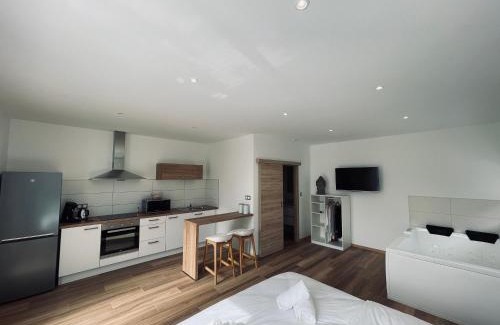 Wintzenheim Apartment | Studio Balnéothérapie