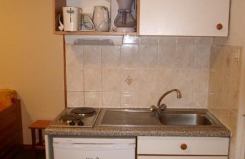 Prapoutel Apartment | Studio cabine au pied des pistes avec balcon et terrasse - FR-1-557-21