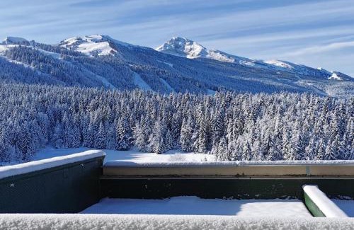 Villard-de-Lans Apartment | Studio cabine avec terrasse sud et parking à Villard-de-Lans, proche pistes et randonnées - FR-1-515-106