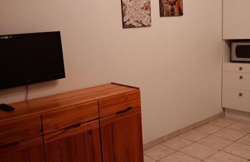 Villard-de-Lans Apartment | Studio cabine rénové 4 pers., exposé sud, proche pistes - FR-1-689-90