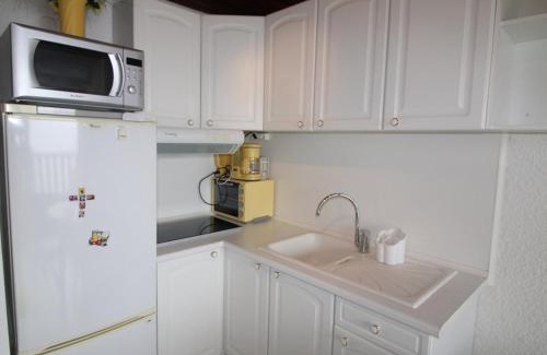 Auris Apartment | Studio Cabine Rénové au Pied des Pistes avec Balcon - Auris en Oisans - FR-1-297-157