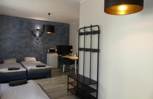 Tarnobrzeg Apartment | Studio Centrum