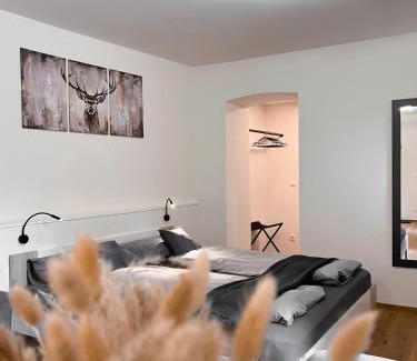 Bressanone Apartment | Studio Cervus with BrixenCard