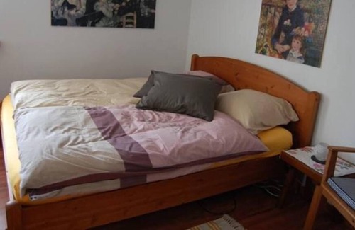 Les Posses-sur-Bex Apartment | Studio close to the ski slopes, the baths, the lake and nature