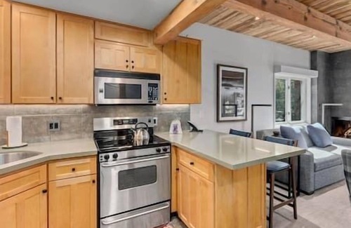 Aspen Hotel | Studio, Great Location Right By The Gondola, Pool!