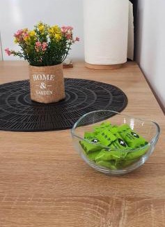 Eforie Apartment | Studio Harmony Techirghiol