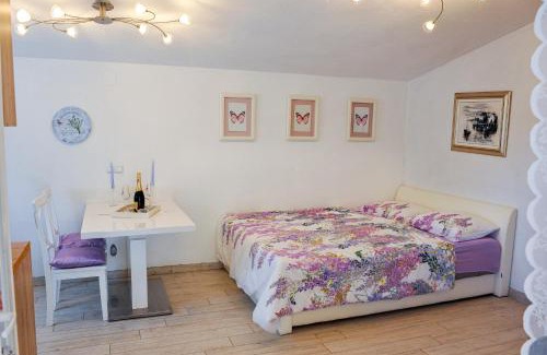 Zaton Apartment | STUDIO HOUSE SECRET GARDEN 1