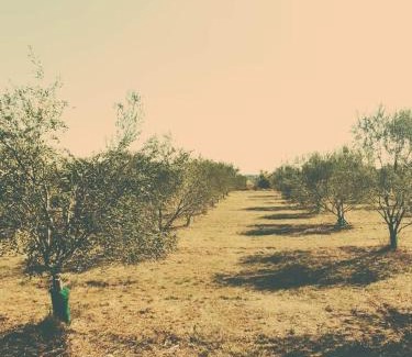 Ledenon House | Studio Indépendant avec parking fermé et sécurisé