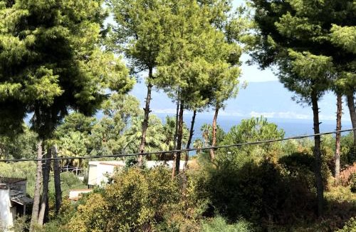 Xirolivado Apartment | Studio Kalypso