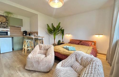 Chasseneuil-du-Poitou Apartment | Studio - Le victoire - aux portes du Futuroscope