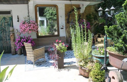 Olliergues Apartment | Studio Malou, cuisine, salle d'eau, terrasse amenagée